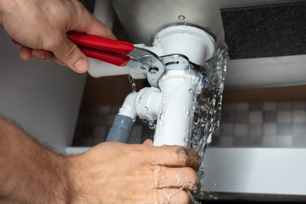 Best Flooded house restoration  in Roxana, IL