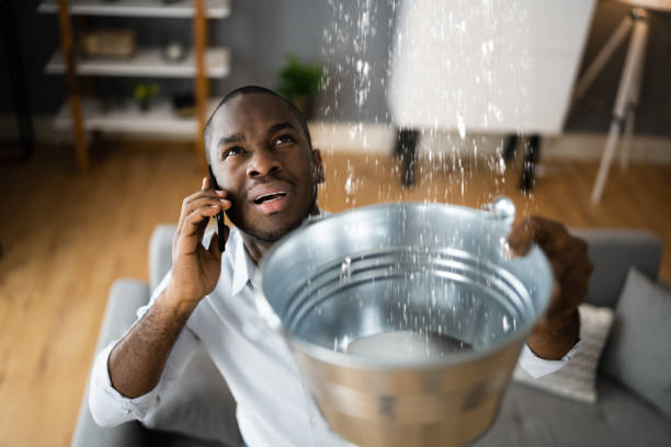  Roxana, IL Water damage restoration Pros