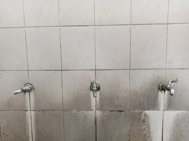 Best Sewage cleanup and water damage restoration  in Roxana, IL