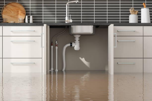 Best Flood restoration services  in Roxana, IL